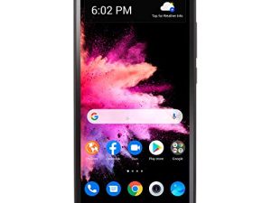 Simple Mobile TCL 30 Z